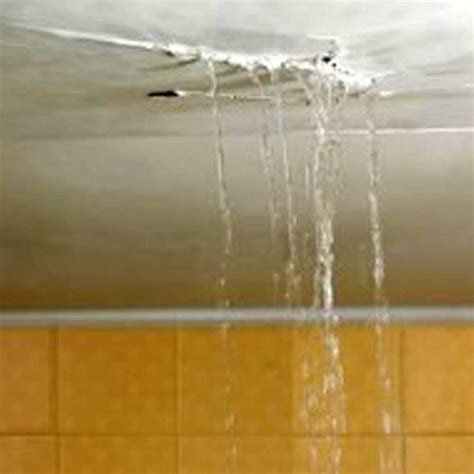 roof leaking dream|What is the Meaning of Leaking Roof in a Dream: Insights into。